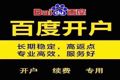 企业SEM服务实战案例解析